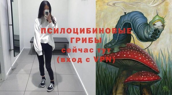ECSTASY Алексеевка
